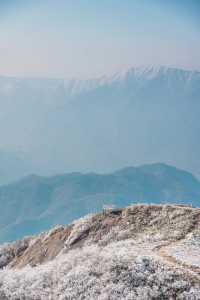 杭州初雪市區一小時可達的鸬鳥山賞雪攻略