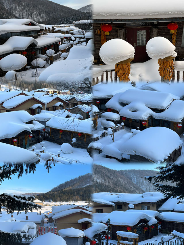 沒約上哈爾濱冰雪大世界，這些地方也不錯！