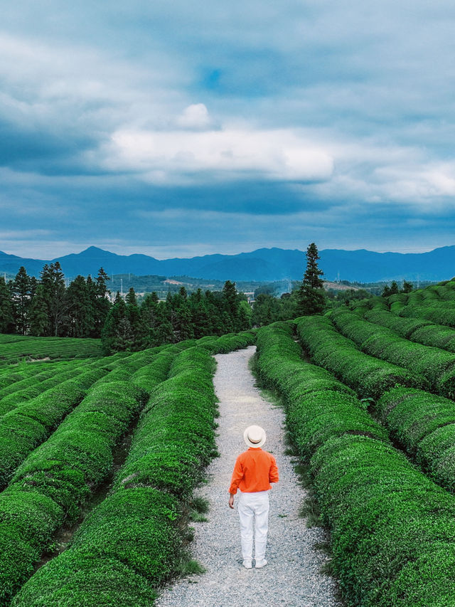 為了這個露天的美術館，我特意去了趟景德鎮。