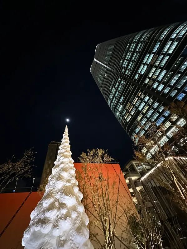 Avoid Taking Photos on Sidewalks During Japan's Christmas Light Displays