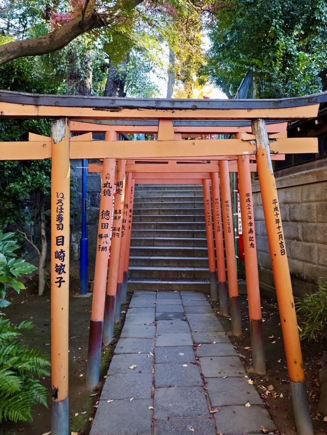 穿越四季的畫布：上野公園與東京的兩日行