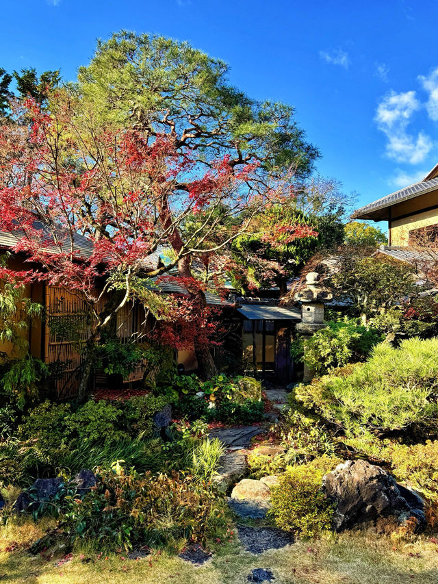 京都絕美日式庭院酒店 | 來京都一定要住的酒店