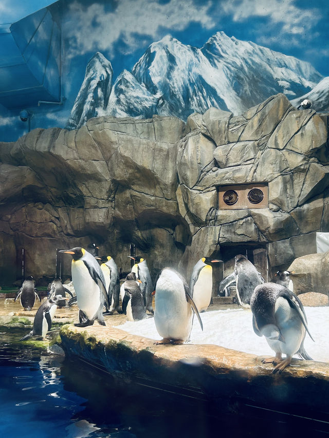 Hong Kong Ocean Park is a Must-Visit!