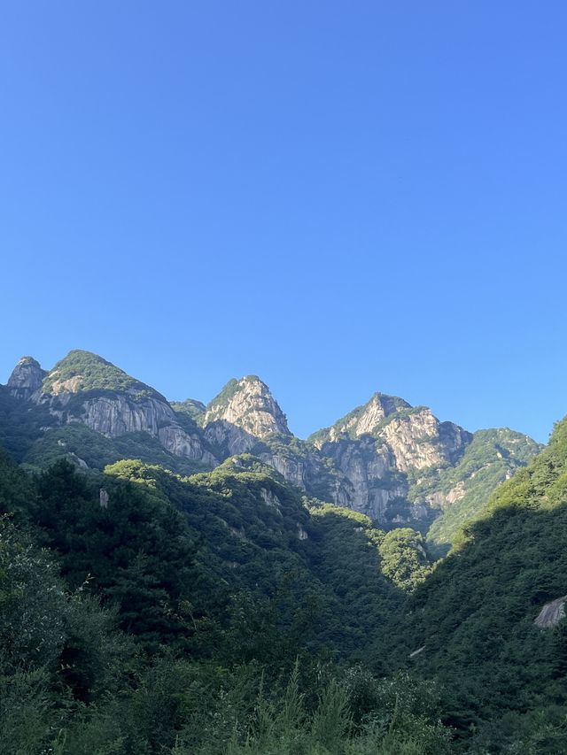 山東濟南-泰山3日遊|玩轉兩地不踩雷快收藏