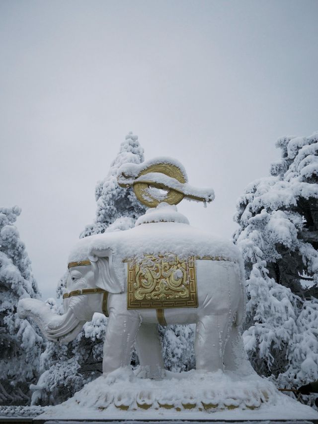 峨眉山迎來了2025第一場雪     真的很壯觀