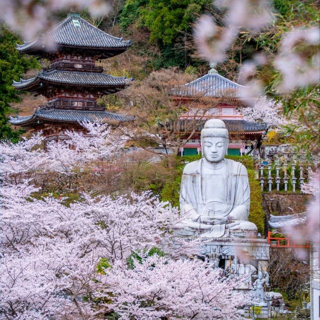 霓虹國出片聖地✨日本必打卡景點攻略