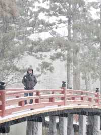 Danjo Garan Temple / A Snowy Day.