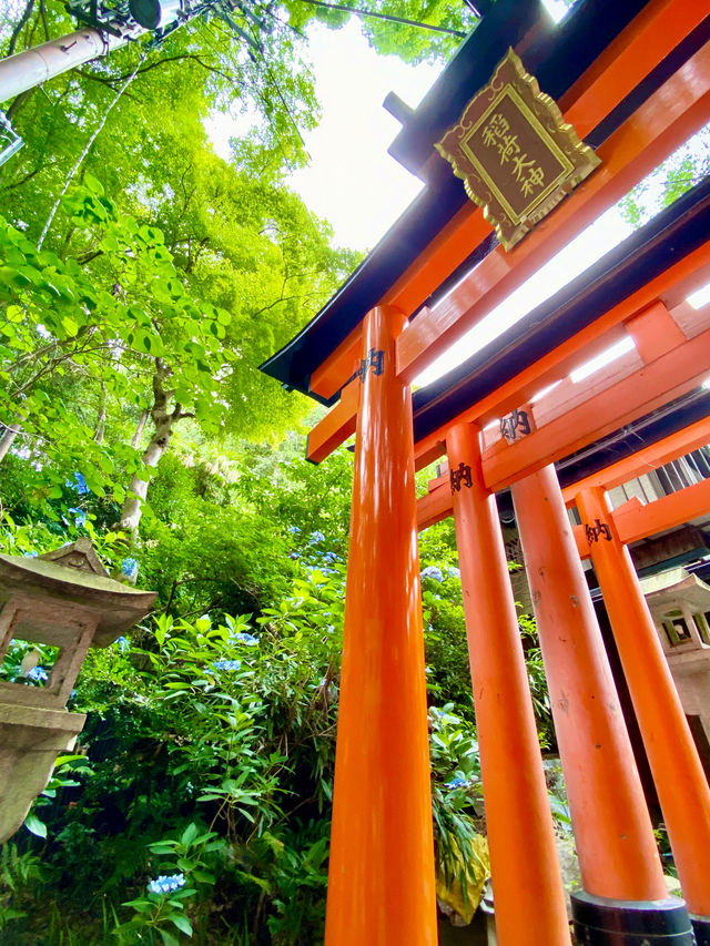 【京都】伏見稻荷大社：紅色千本鳥居隧道