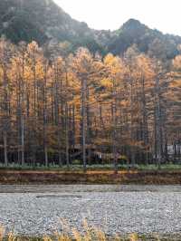 Lost in Kamikochi ในฤดูใบไม้เปลี่ยนสี🍁