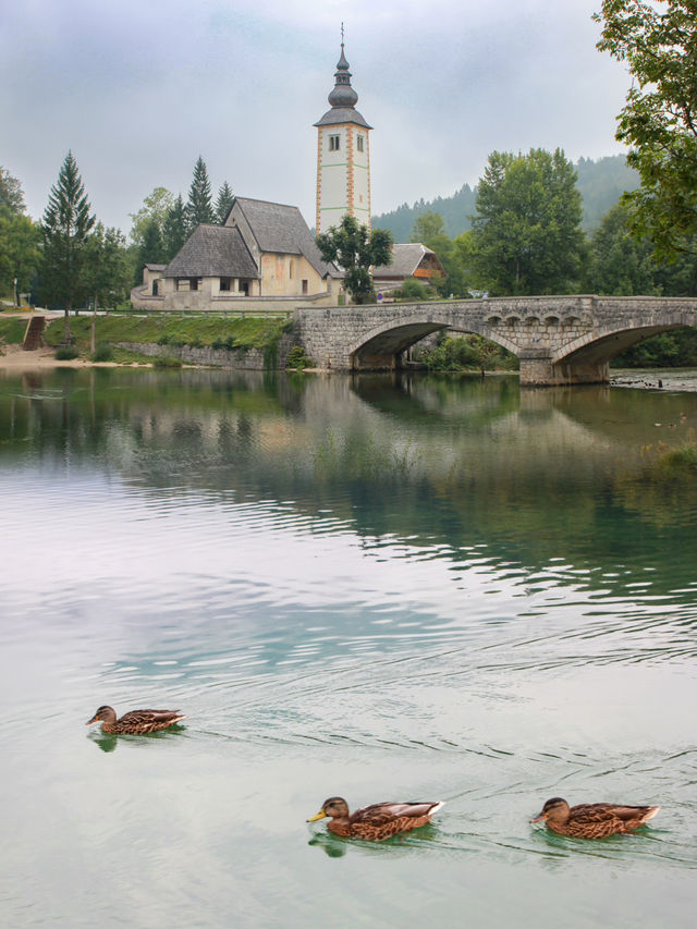 Embracing Serenity: Immersed in Nature at Lake Bohinj