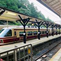 Visit Koyansan World Heritage with Nankai All Line 2 Day Pass