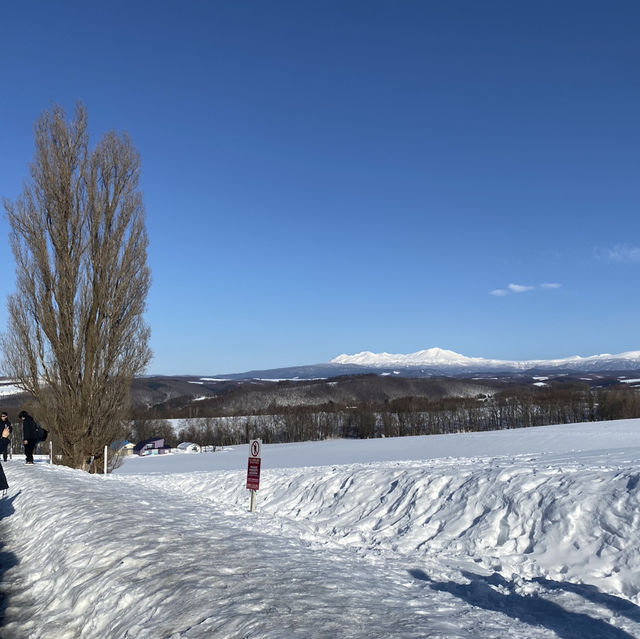 เมือง Biei ใน Hokkaido 