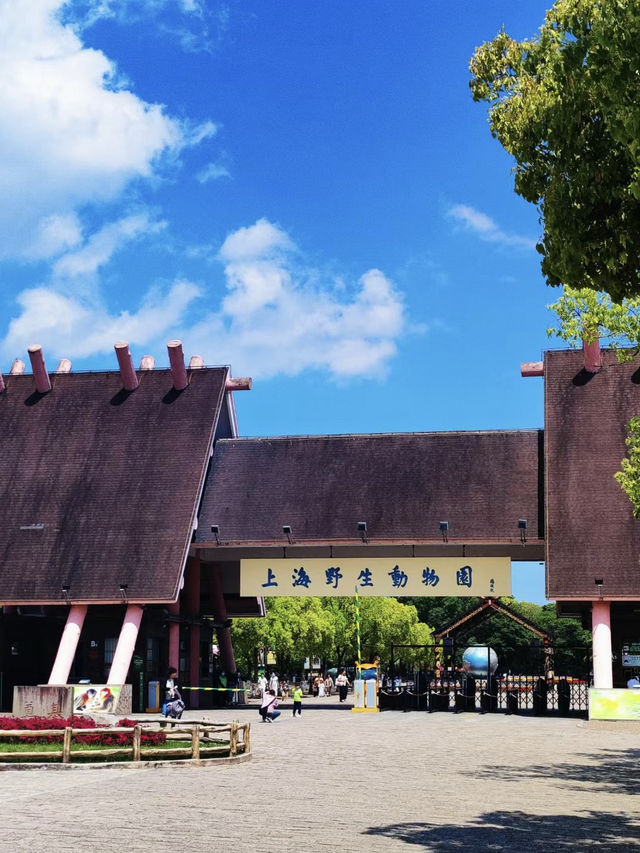 野趣漫遊：在上海野生動物園的奇妙邂逅