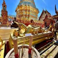 Discover the Serenity of Doi Suthep