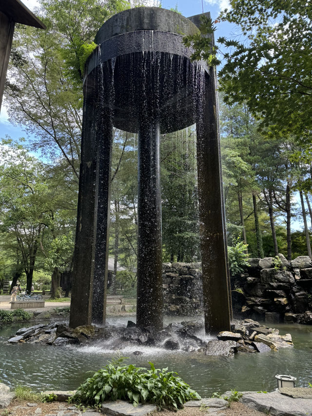 Exploring Nami Island