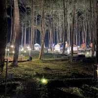 Sleep Amongst Serene Forest in Bandung