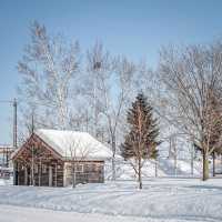 WINTER IN HOKKAIDO ❄️☃️ 