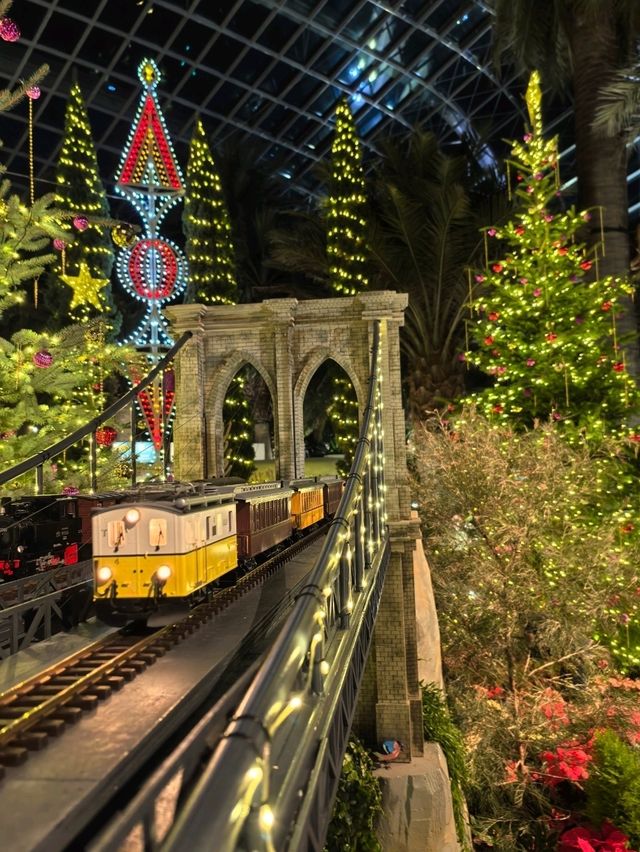 The enchanting of The Christmas Train Night version.