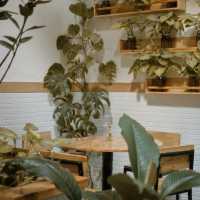 Delightful Brews and Cozy Atmosphere at Miel Coffee