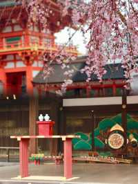 A Rainy Spring Stroll Through Fushimi Inari Taisha