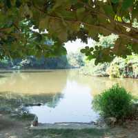 A Peaceful Escape at Wat Umong