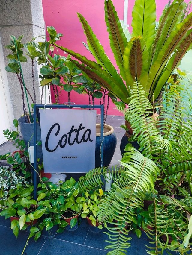 Latte Love and Lush Vibes at Cotta Cafe