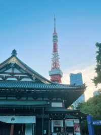 增上寺 | 東京塔下的古早寺廟 🟤