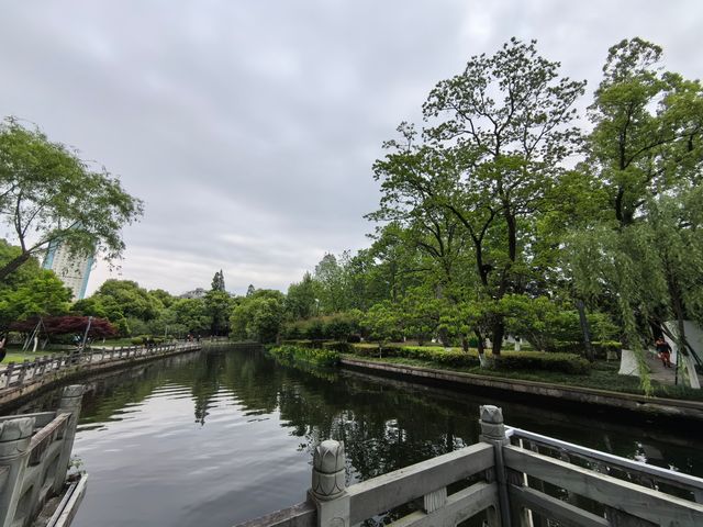 被譽為寧波“小西湖”的月湖公園