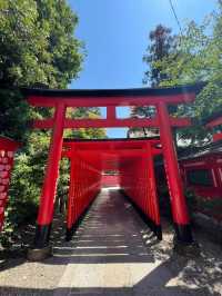 Half a Day in Inuyama, Totally Worth It 🏯