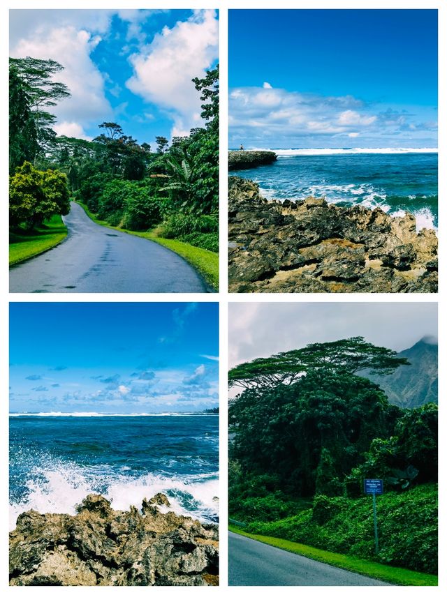 夏威夷可愛島，天然的火山地質公園