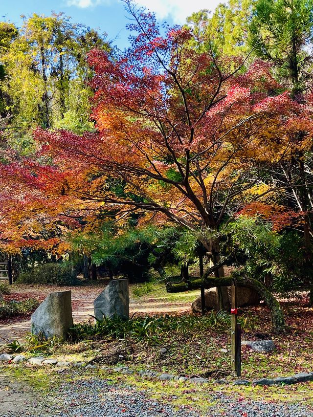 日本·京都