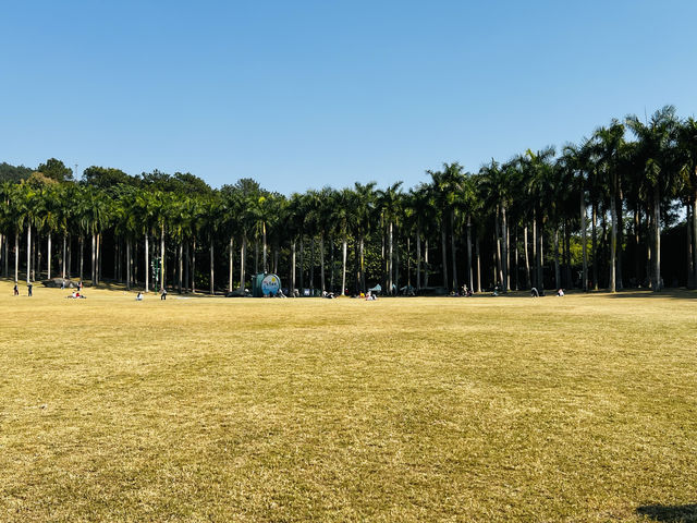 南寧青秀山風景區旅遊攻略