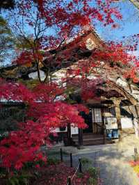 日本·京都清涼寺