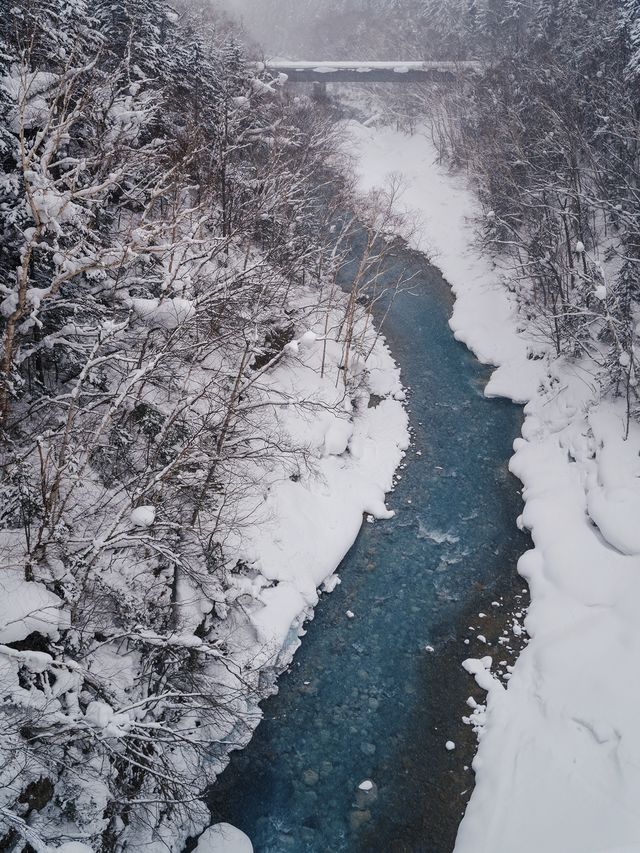 冬日漫步，北海道的冬天拍照也太出片了