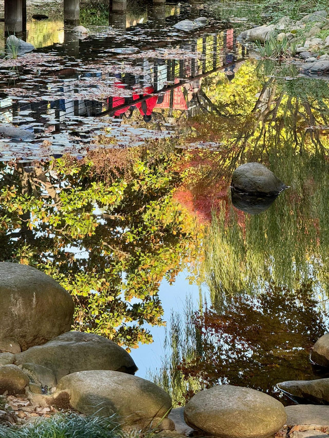 上海|延中廣場公園治好了我的京都戒斷症