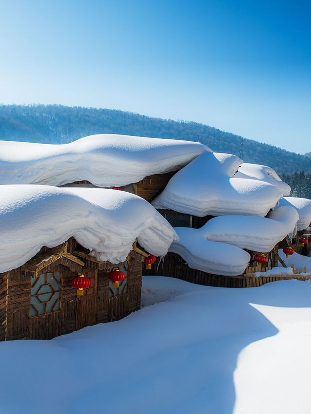 5日玩遍哈爾濱-雪鄉看這篇攻略就夠了