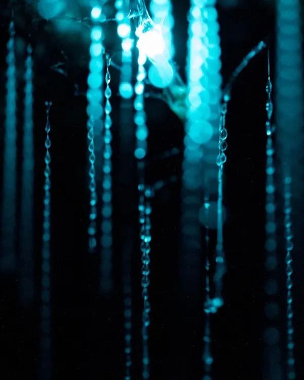 Explore the Enchanting Waitomo Glowworm Caves in New Zealand