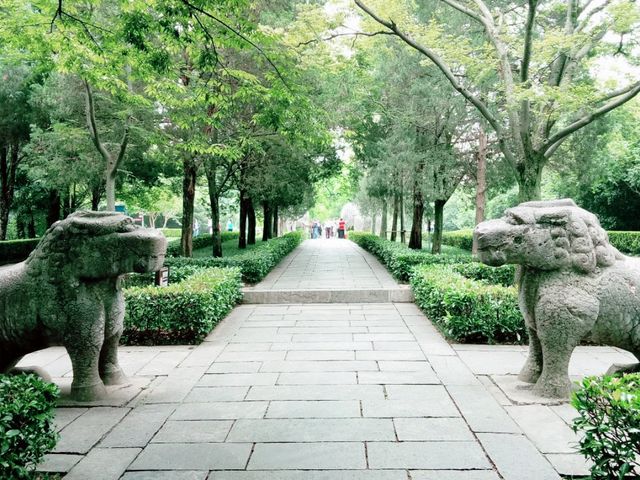 Most Remarkable Spot in Nanjing: Zhongshan Mountain National Park