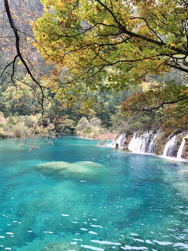 春節暢遊九寨溝 3日玩樂不重樣