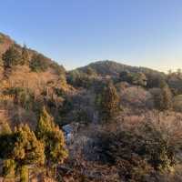 清水寺のベストタイミングは日の入り！