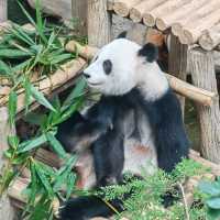 Just a normal day to Zoo Negara Malaysia 