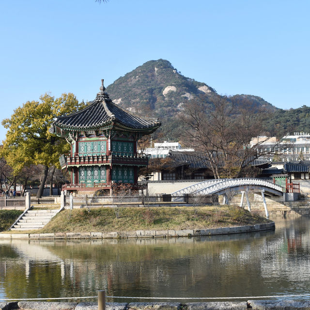 Seoul Surprises: An Aussie’s Epic Adventure