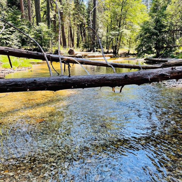 Nature’s Majestic Canvas Unfolds at Yosemite – Where Every Trail Leads to Wonder!