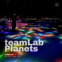 teamLab Planets กับ Digital Art สุดล้ำแห่งโตเกียว