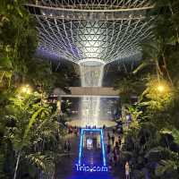 World's tallest indoor waterfall in Jewel Changi 🇸🇬