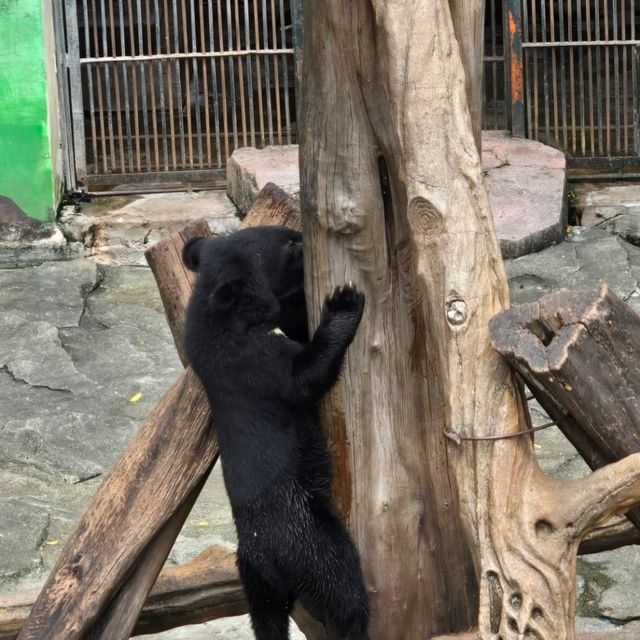 廣州動物園