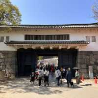 Stepping into History: My Adventure at the Majestic Osaka Castle!