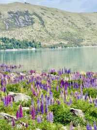 Breathtaking Lake Tekapo!