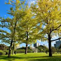 麥野一丁目公園：遊玩與放鬆的完美天地 🌳🎉