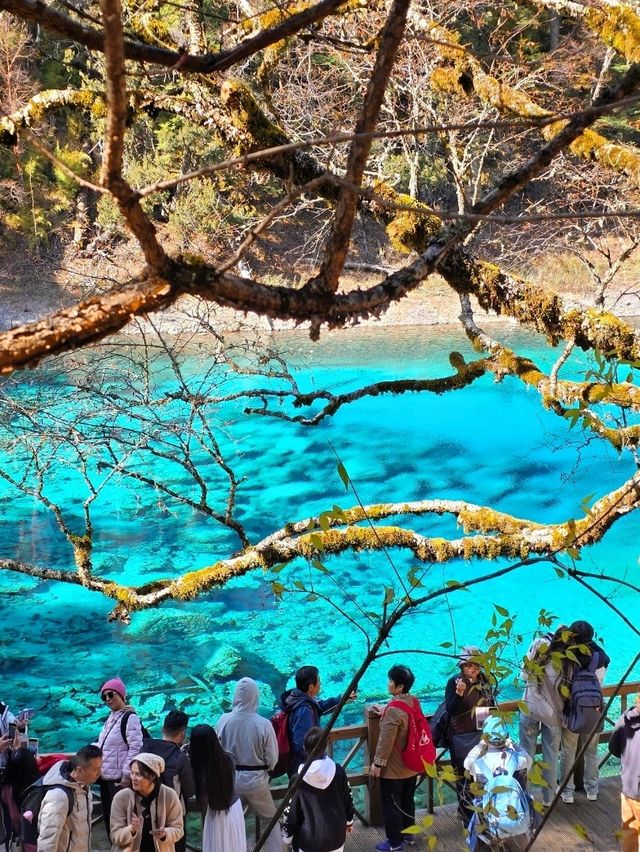 Jiuzhaigou in autumn 🍁